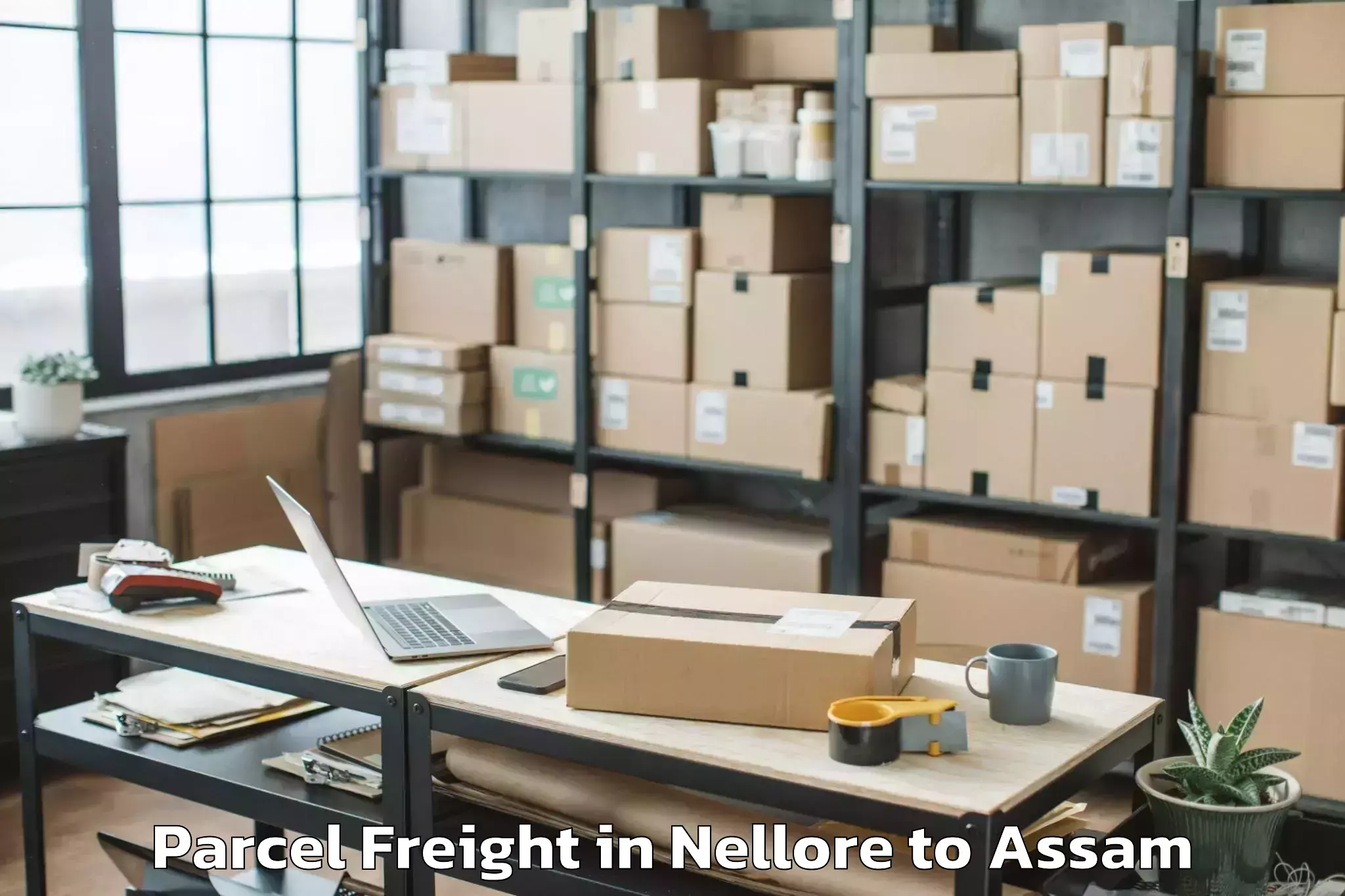 Top Nellore to Raha Parcel Freight Available